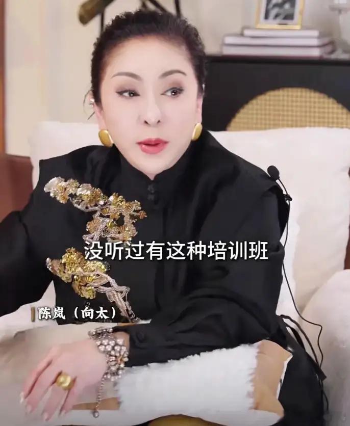 向太辟谣方媛是名媛班出身！爆料两人夫妻恩爱，还说方媛执念为天王郭富城生儿子！！！