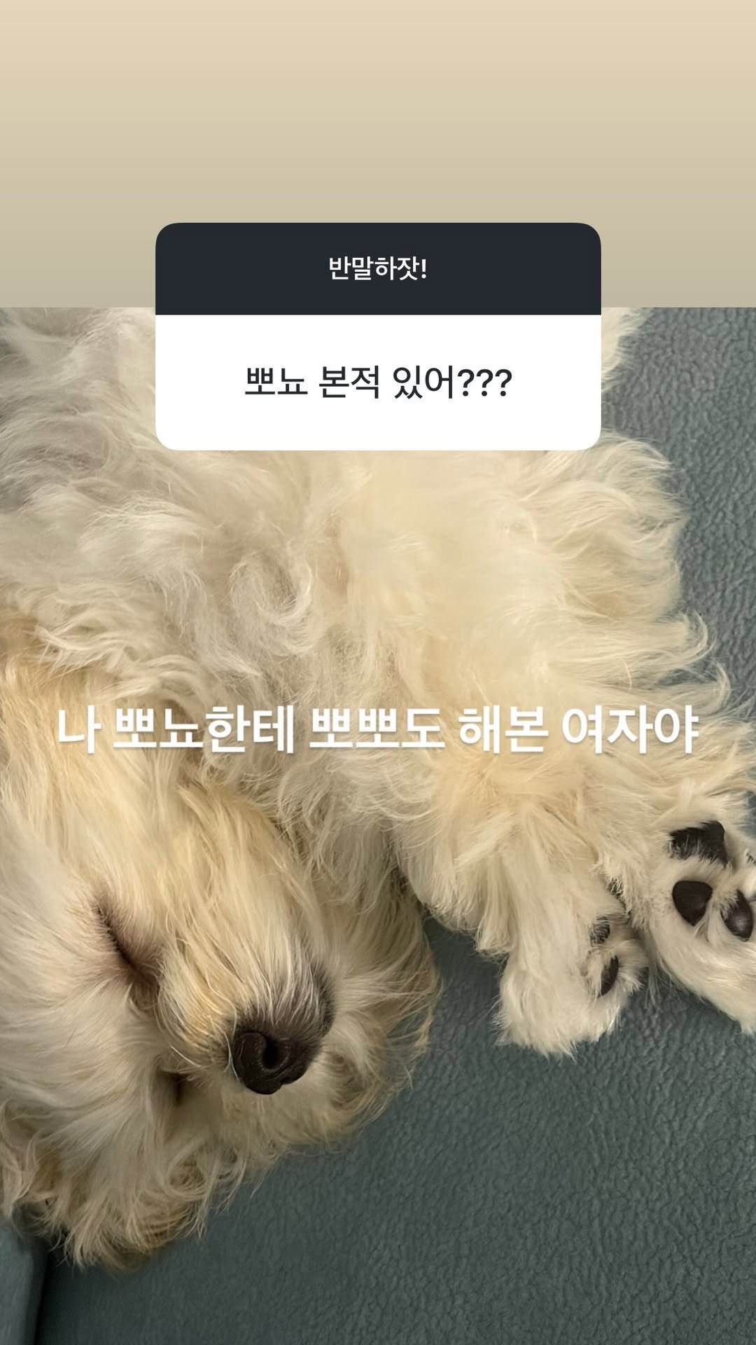 260914 biyaaaa（aespa化妆师）IG story更新💬：见过啵