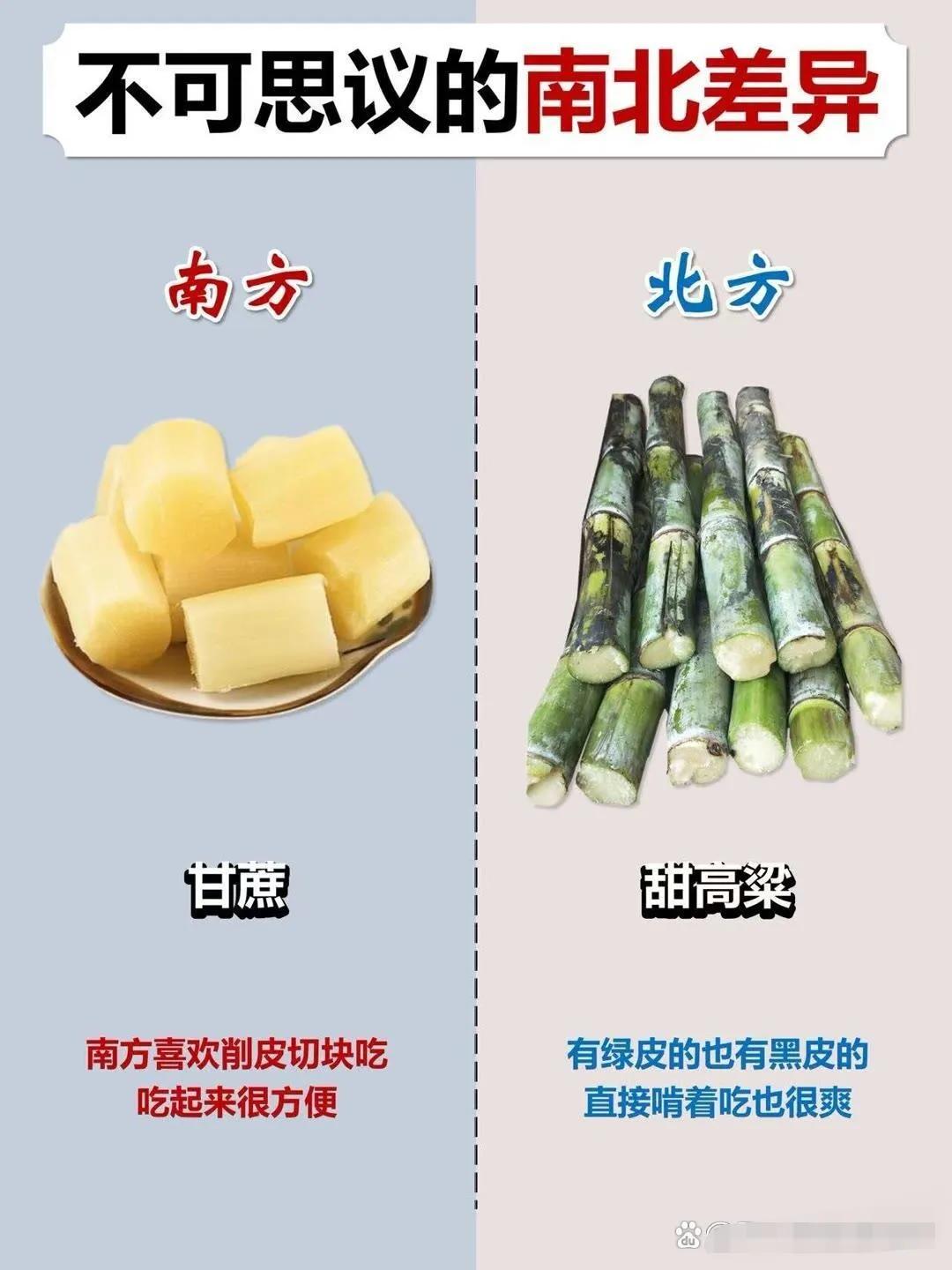 来看看南北差异#聊聊南北差异# #南北蔬菜大不同# #说说南北差异# #如何区分