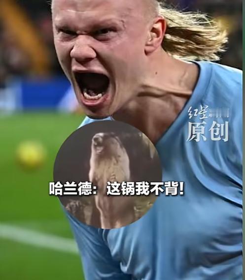 哈兰德怎么也没想到，自己的头像竟然被毒贩当“防伪标识”， 厄瓜多尔警方接到匿名线