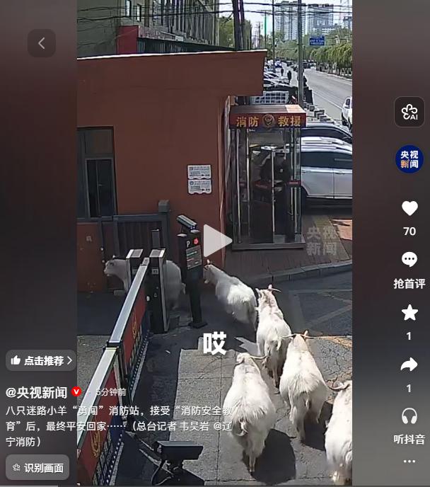 八只小羊闯消防站！辽宁营口“萌娃”接受消防教育后平安回家，这波操作太暖心
 
央