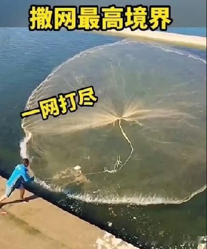 这网撒的确实牛[赞][赞]