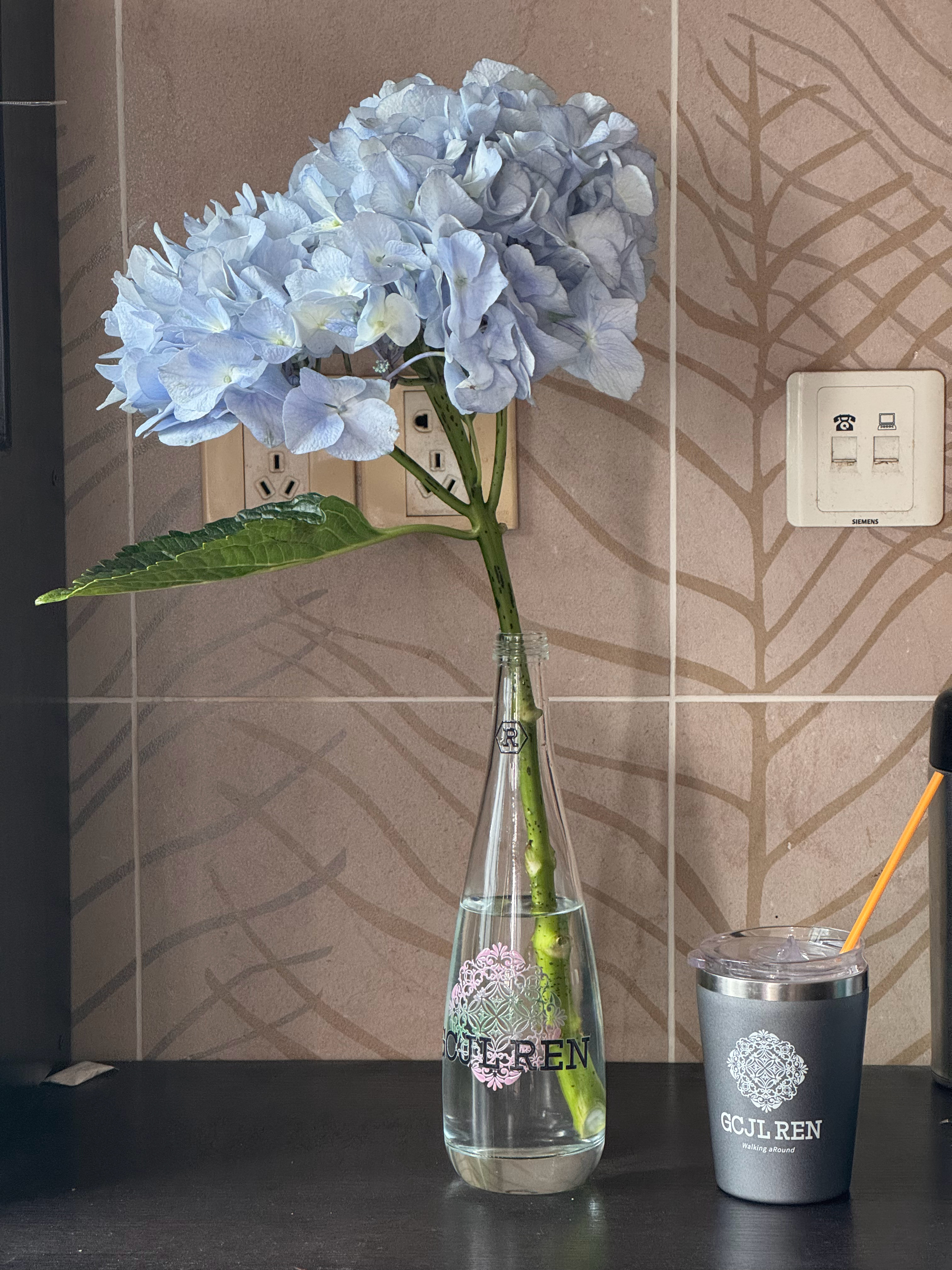 周生陈和绣球花好配 