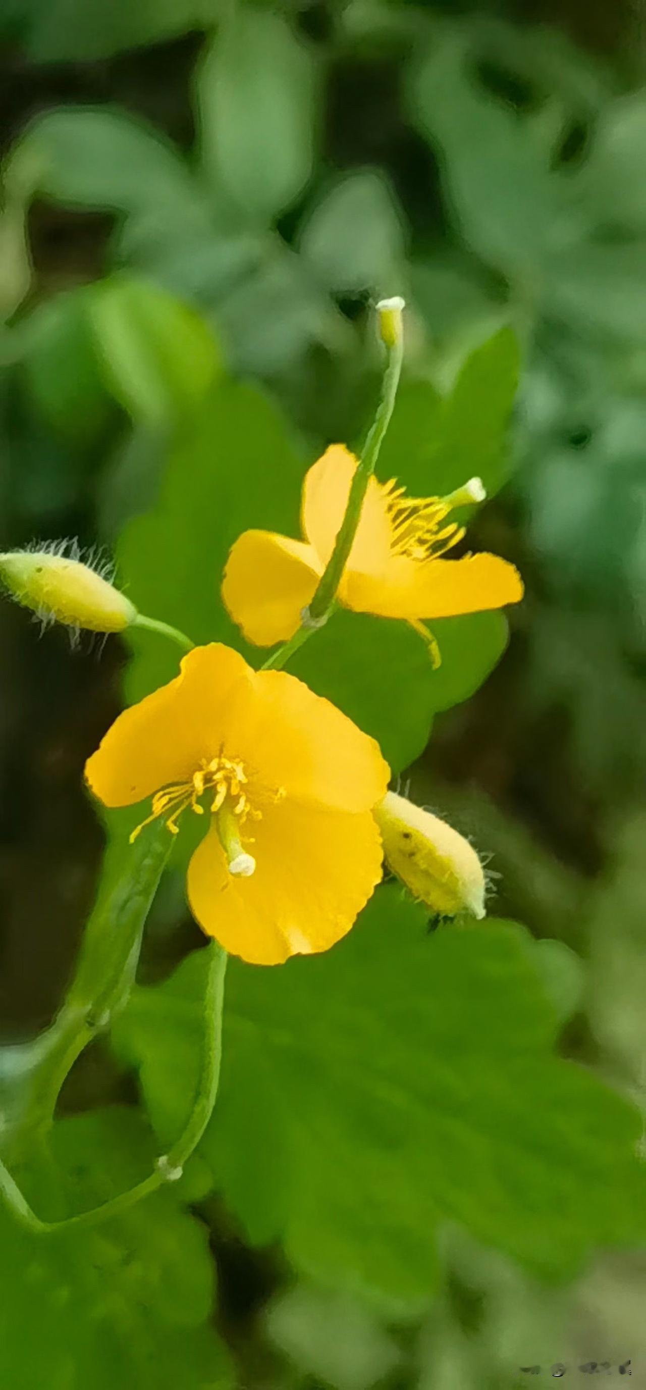 怎样通过谈判让小三能有所畏惧? 
【小对联】
上：语调；
下：……？