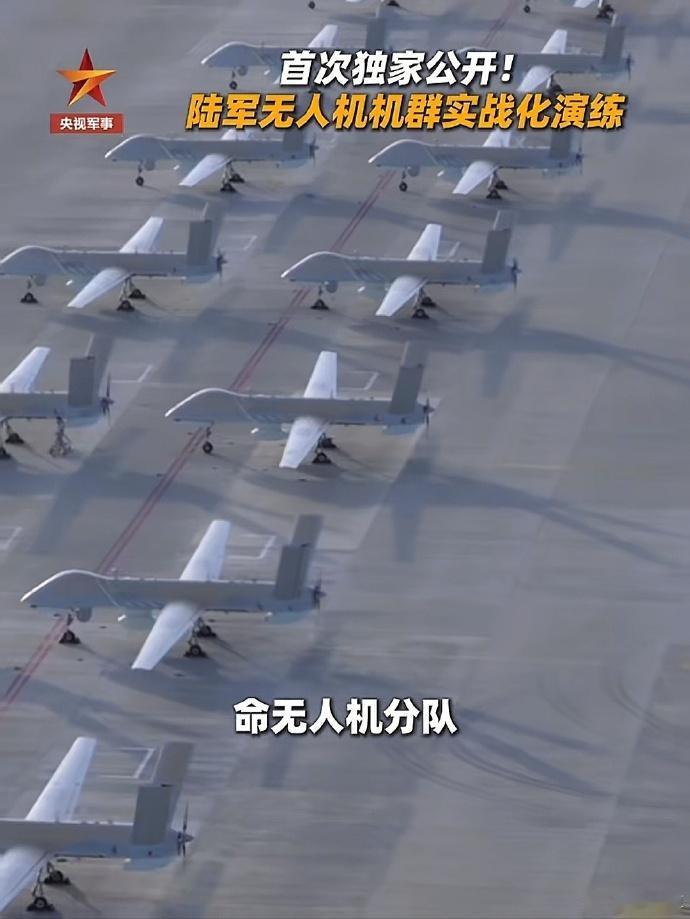 真好，无人机群公开了！

嗯，宵小们得瑟一次，就公开震慑一把……下次就有机会也不