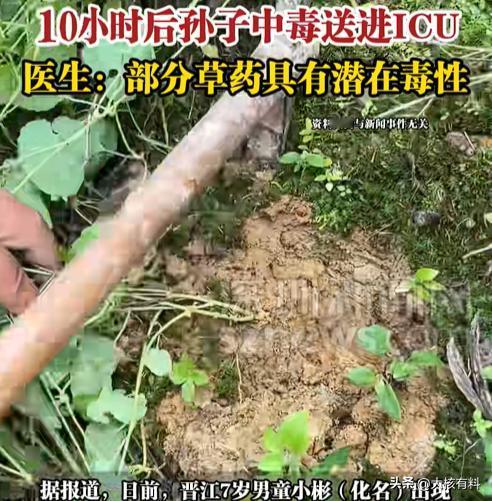 “太揪心了！”近日，福建晋江，一位老人轻信民间偏方，认为草药炖兔肉能给孩子补身体