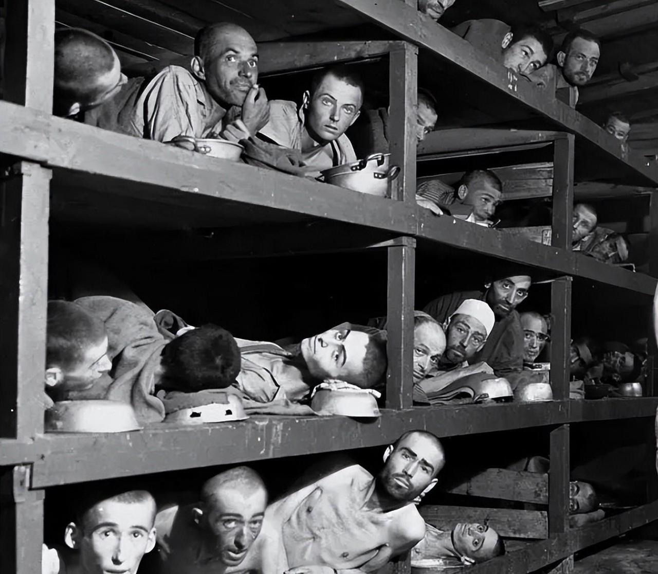 从来没有一个民族，像吉普赛人这样被全世界厌恶。

先说历史吧，这两个民族都没少遭