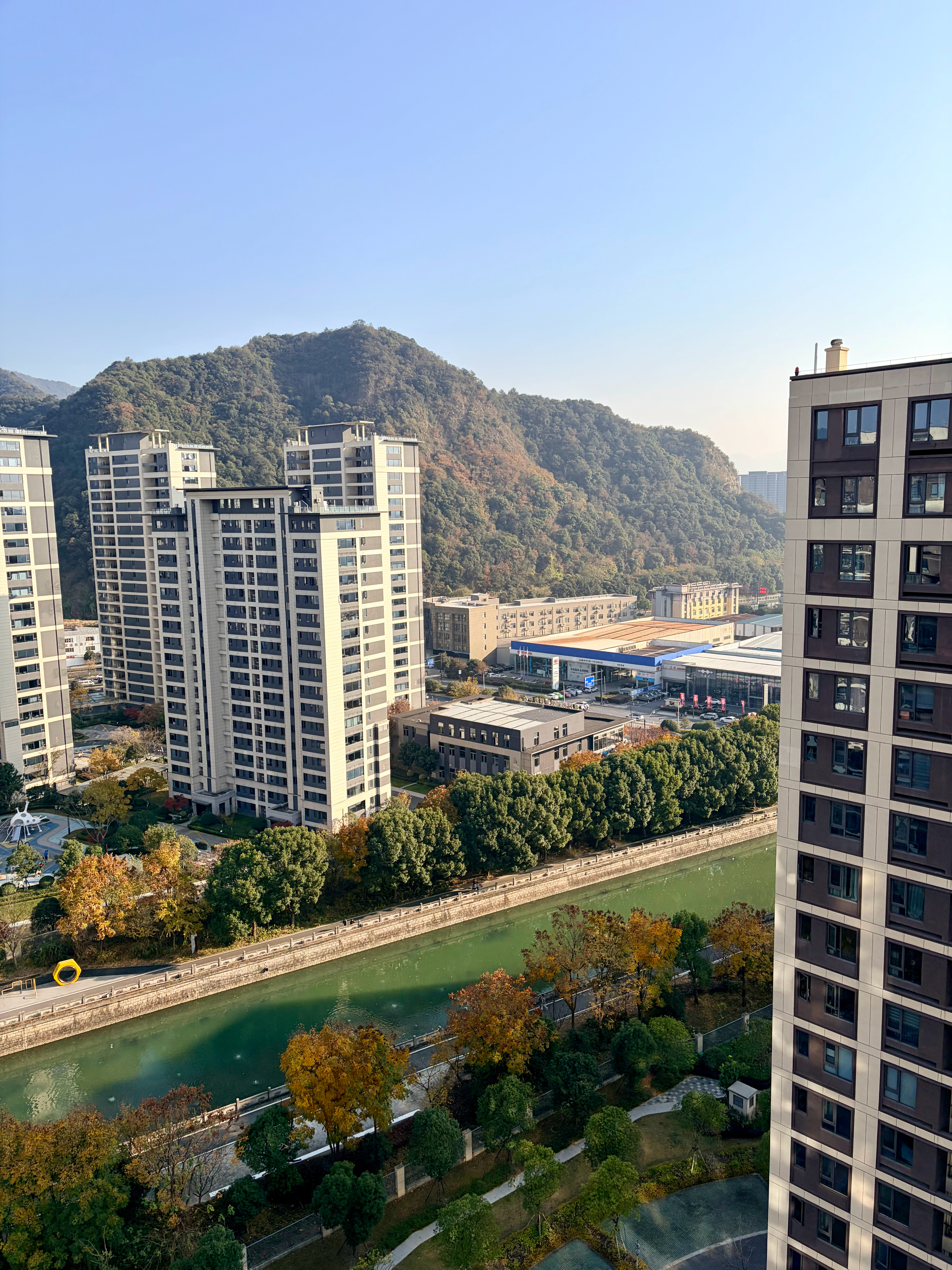 杭州周末这个天气舒服了☀️可惜我得窝在家里弄视频杭州西溪湿地虎跑公园 杭州