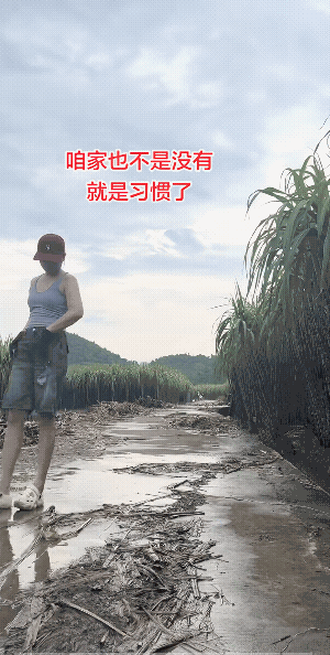 远处的一声“唉！”把女子瞬间给吓了回来。信不！好似每个人做“坏”事的时候，都会遇