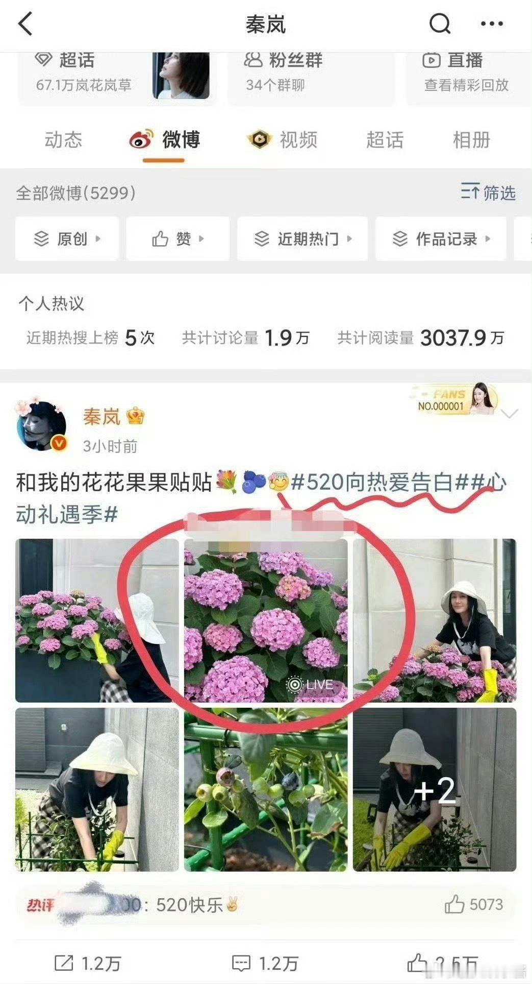 秦岚发了疑似有魏大勋声音的live图这是魏大勋的声音吗