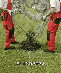 正常也有做植物造型的，但它这个完全是不正常的做法吧？！