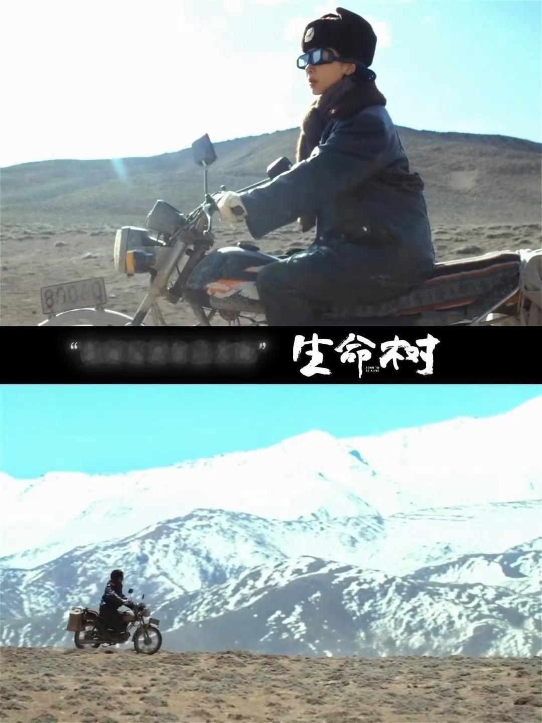 杨紫白玉兰视后热度飙升 杨紫白玉兰正向大爆发杨紫微指峰值破3亿，且连续6天破亿，