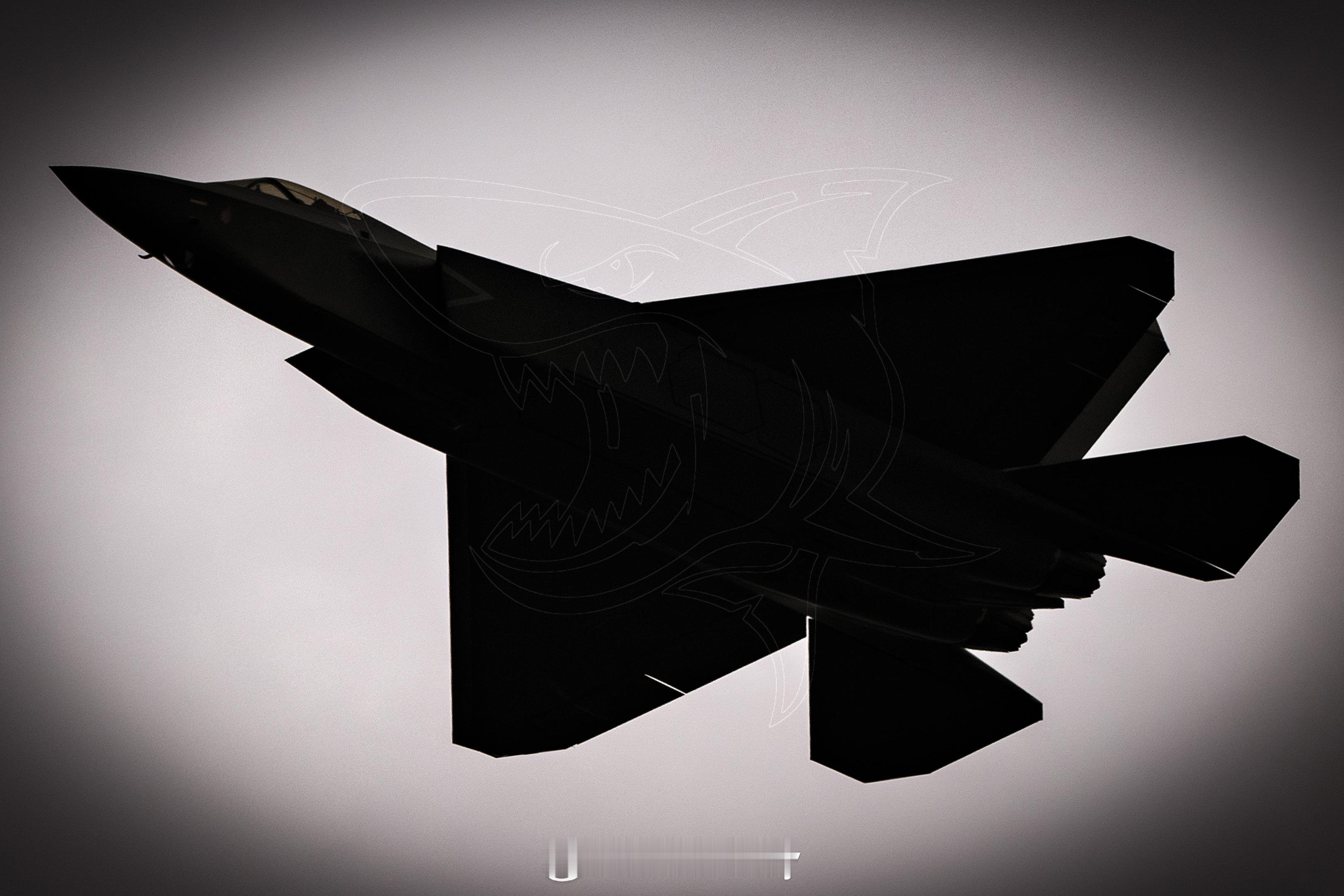 歼-35首飞成功四周年[鲜花]190视角 ​​​