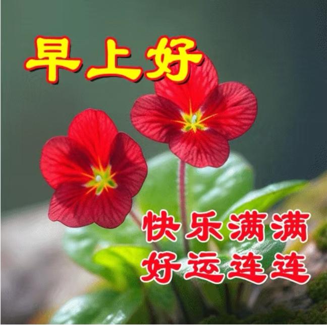 風雨同舟保健康，
彼此快樂度時光，
幸福人生皆如意，
平安無恙迎吉祥。
早上好！