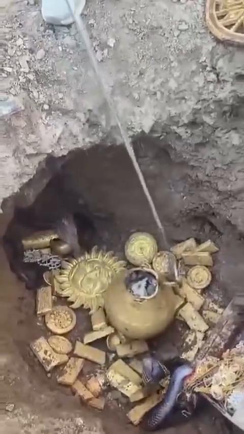 我家来，我家来，我家来。