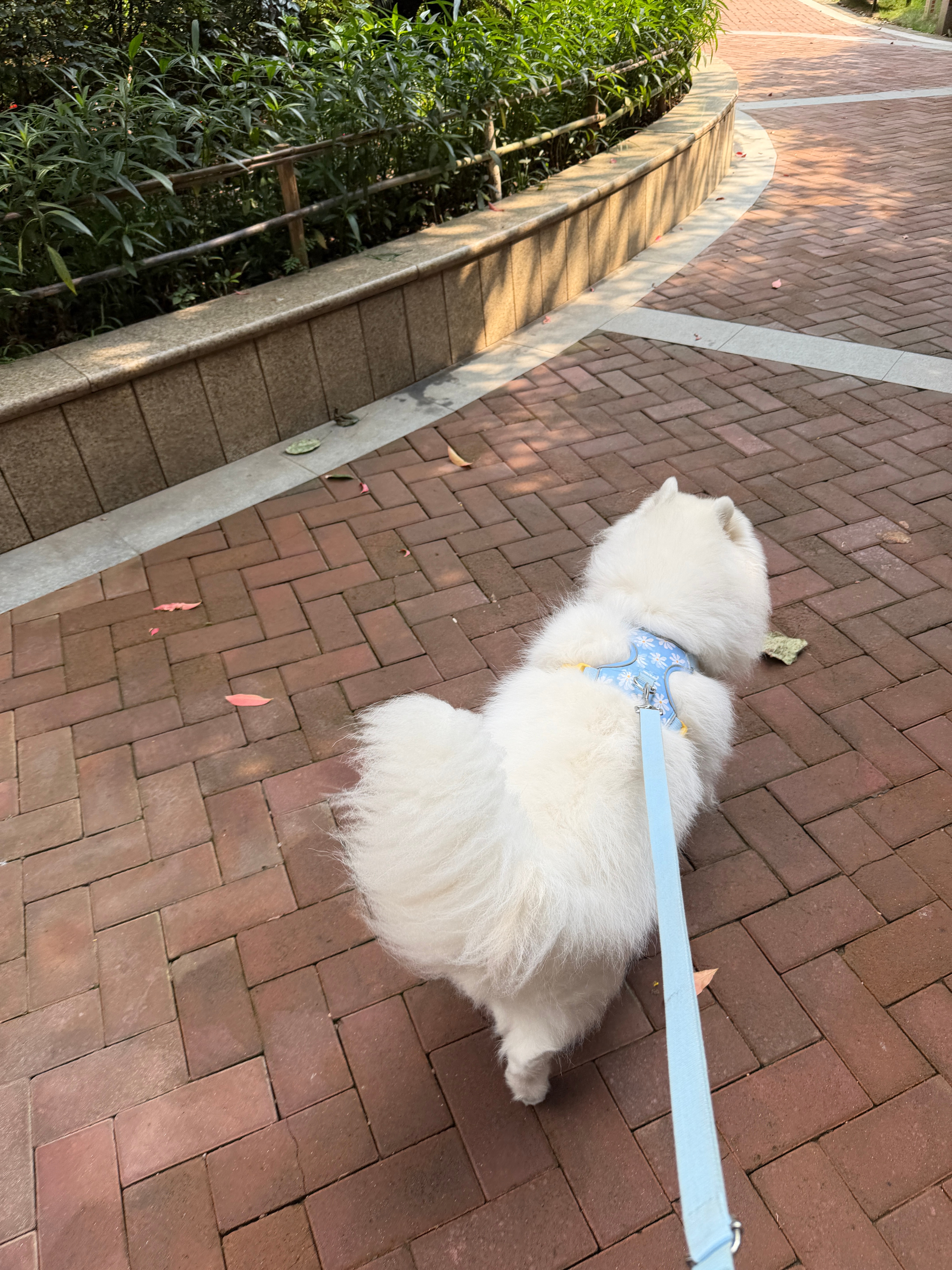 很稳定的三角形[开学季] ​​​