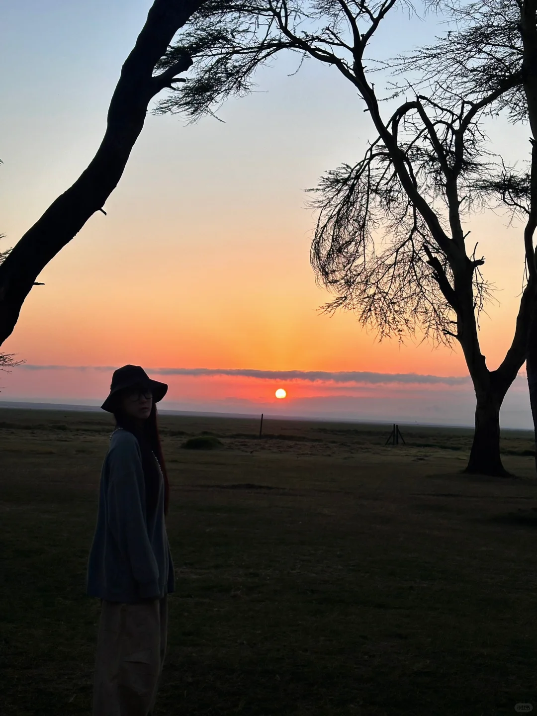 emo的时候就去精神保护区里抱抱🌳