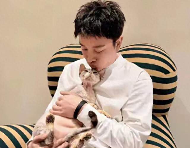 凭空多了个儿子？贾乃亮晒猫幽默辟谣