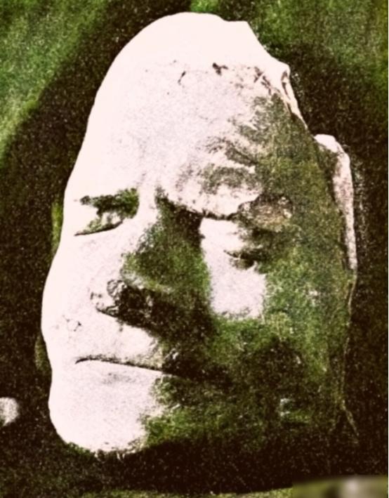 牛顿于1727年去世，当时虽没有照相机，但牛顿的“真容”却被记录下来了。这是牛顿