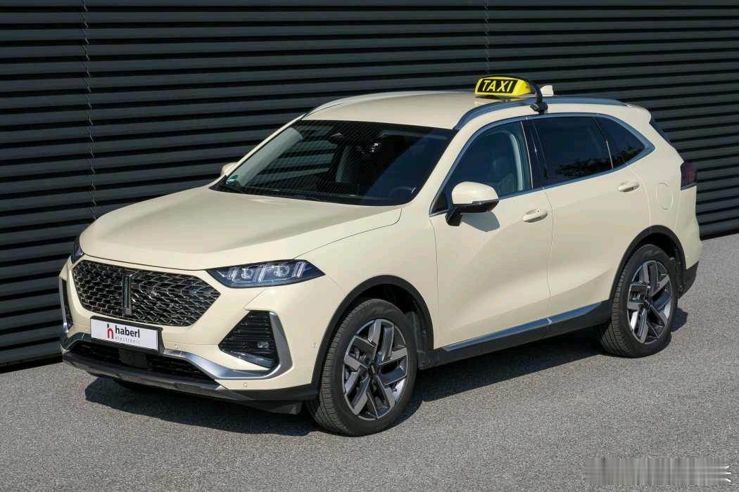 到了德国不尝试打个车吗？比如魏牌拿铁PHEV（GWM WEY 03）[doge]