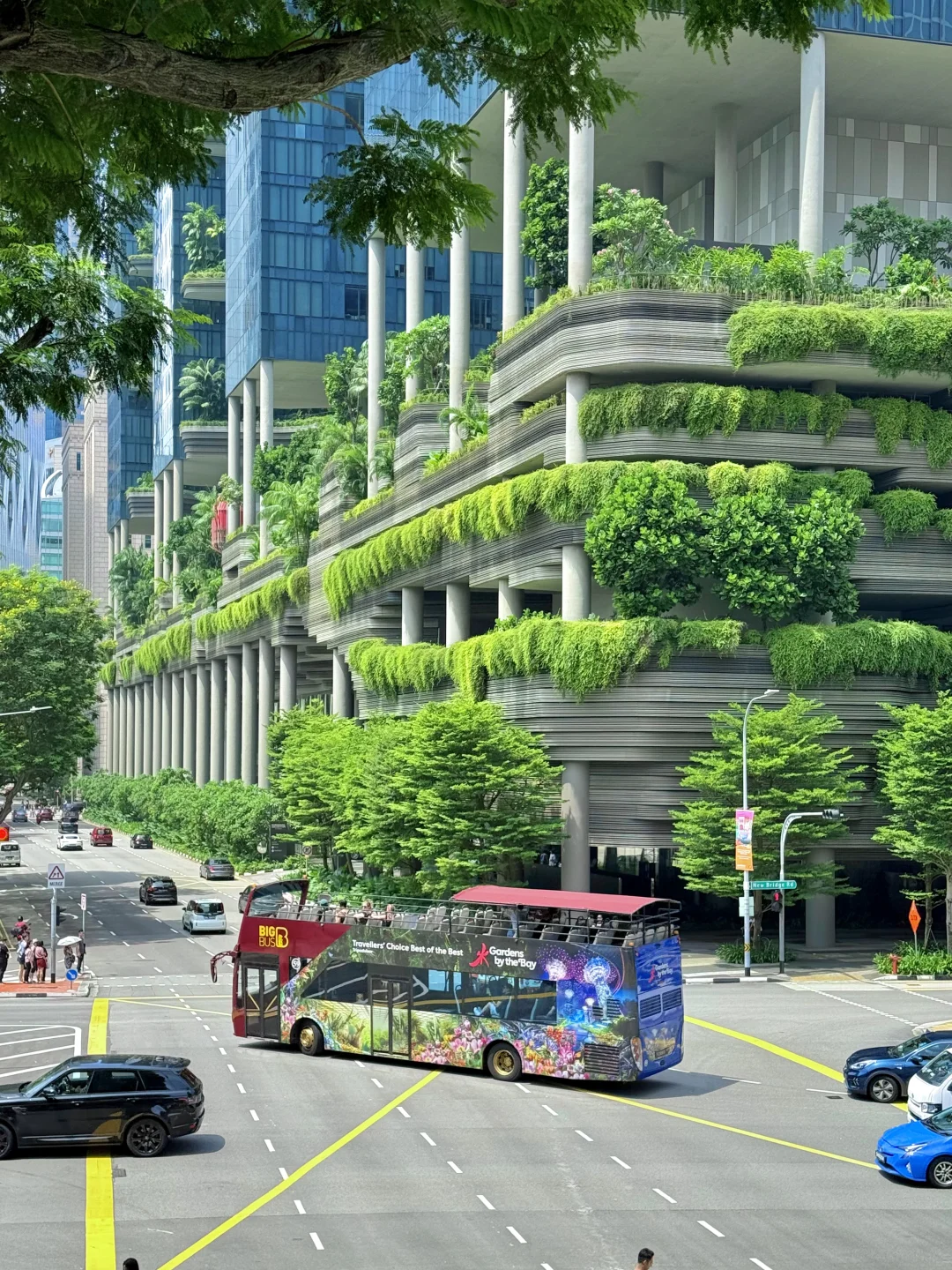 这绝对是我🇸🇬在新加坡花的最值得一笔钱……