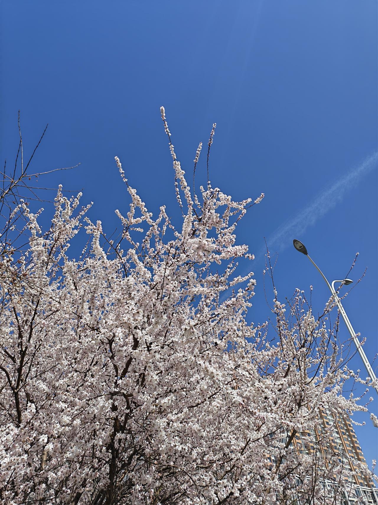 人老了，钱重要还是身体健康最重要。什么是财富？
我觉得健康是你第一财富，其次才是