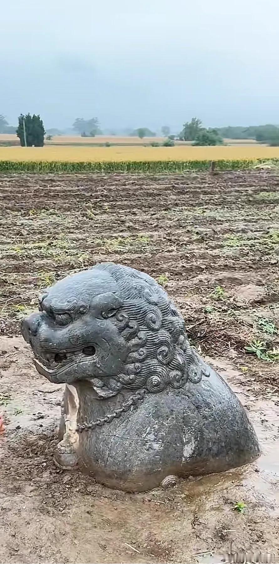 文化主管部门，如果只是两眼盯着现场演出，跟报备的文稿是否相符，那绝对是令人失望的