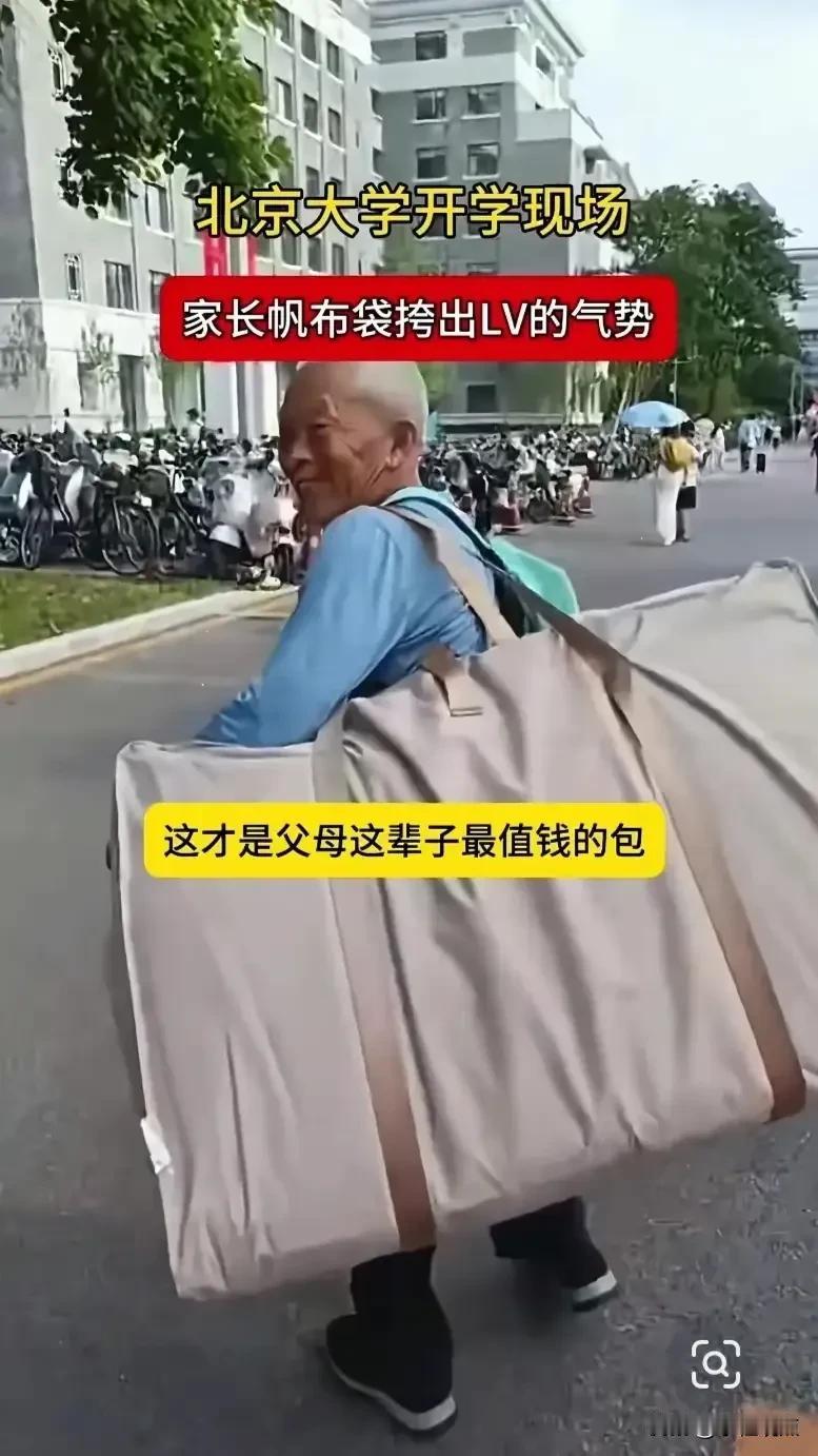 大一新生开学最重的行李总在父母肩上，大学门口那个背影，看哭多少人，又到九月开学季