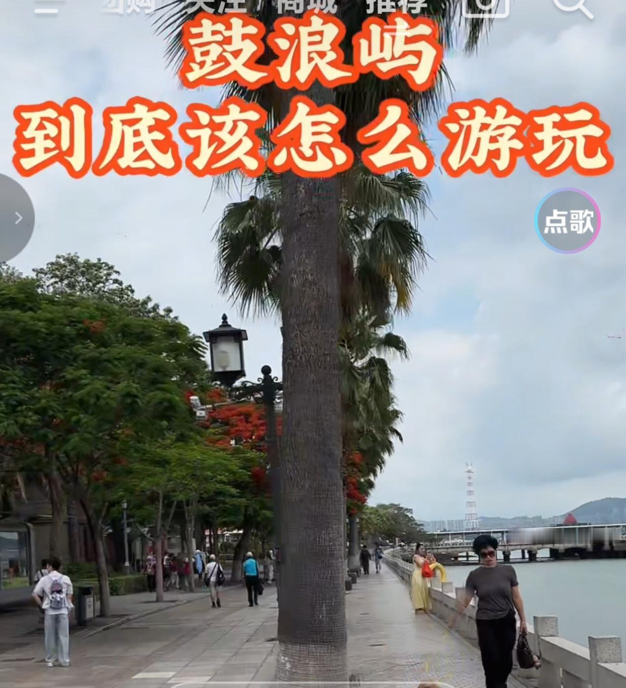 〔生物的遗传和变异〕
举例：爸爸有酒窝，妈妈没有酒窝，生的小孩有没有酒窝。分析如