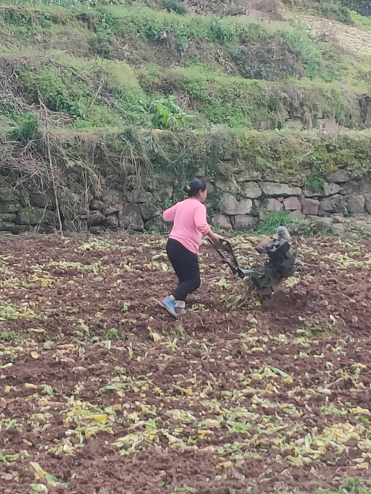 上联:反反复复两亩地
下联:修修补补半生缘