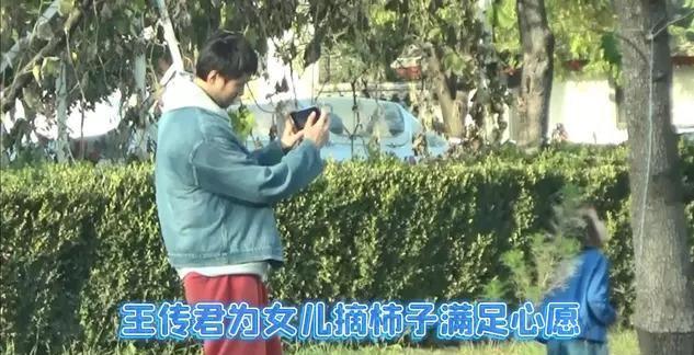 王传君，大明星，这次因为给女儿摘柿子上了热搜。交了罚款，就为了一颗柿子，这事儿是