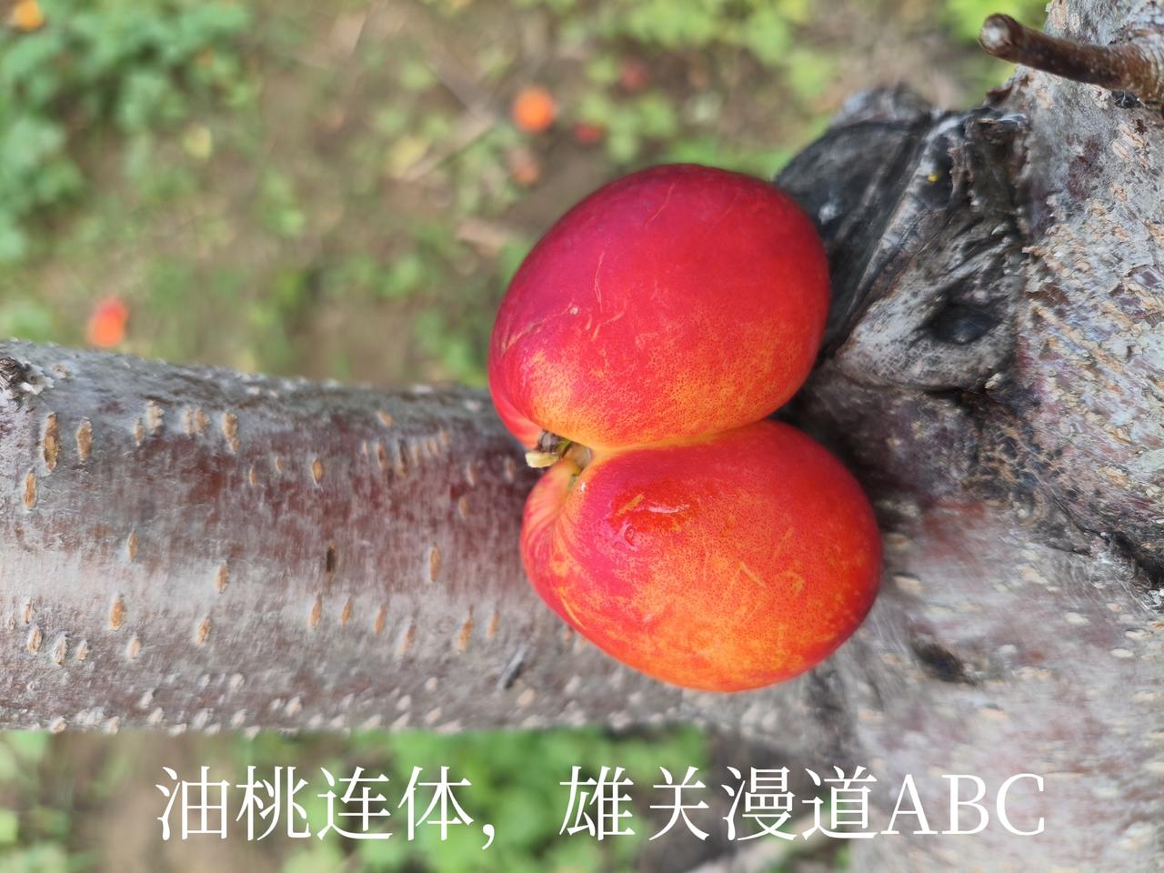我新发布的内容被官方推荐啦！👍你也快来发布一条吧！带记录真实生活话题，更容易被