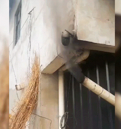 网友:事实证明，这是个假摄像头！