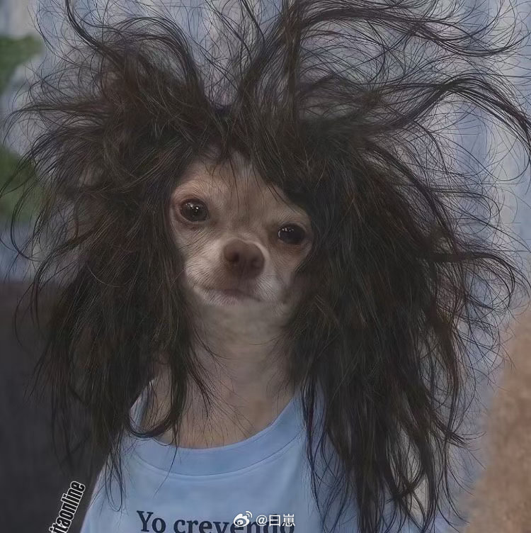 公司今天发粽子 吃了一个又吃撑了
