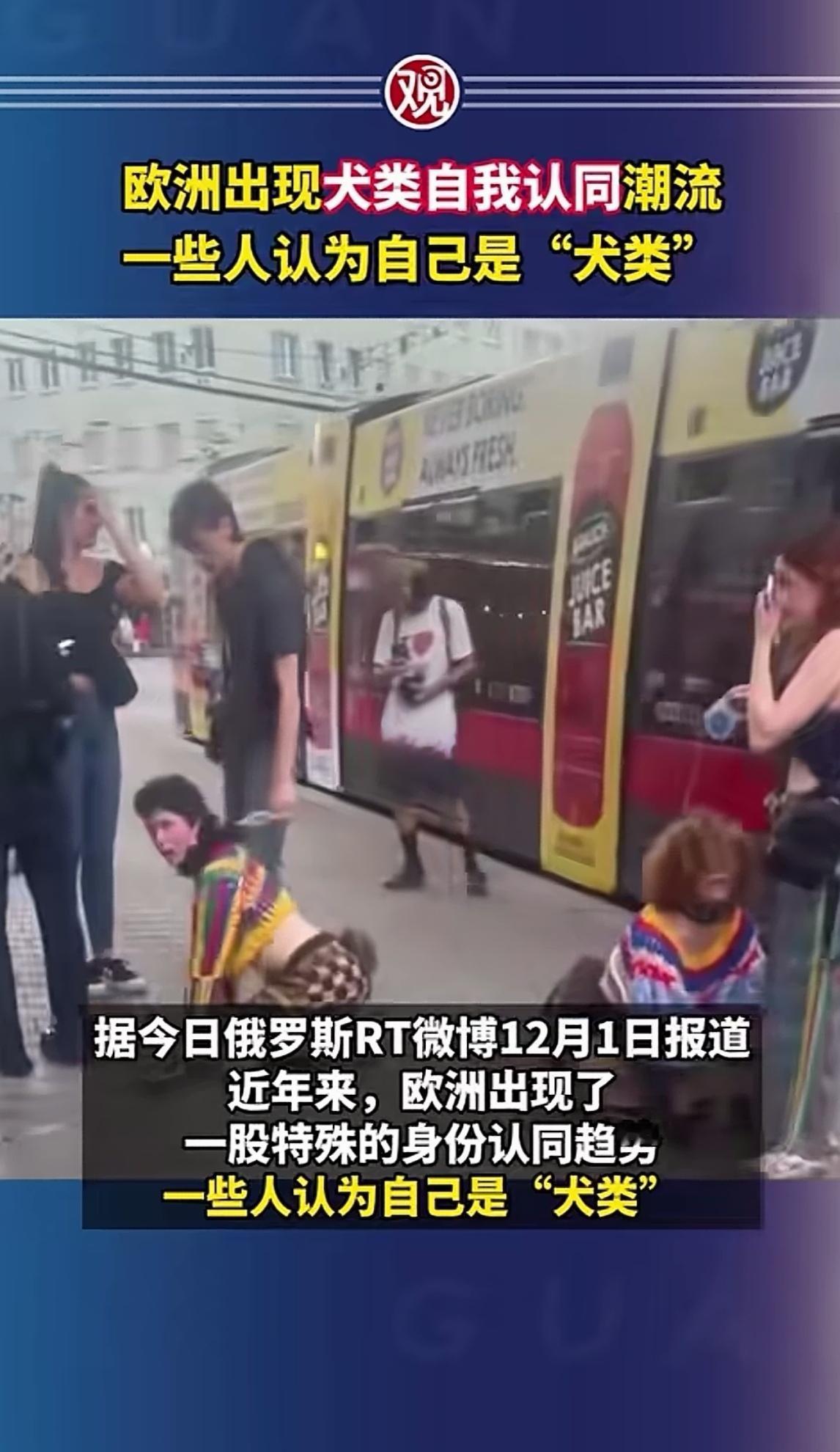 我们中国人很难理解，欧洲掀起一场“犬类身份”的自我认同潮流。

她们自我认可为“