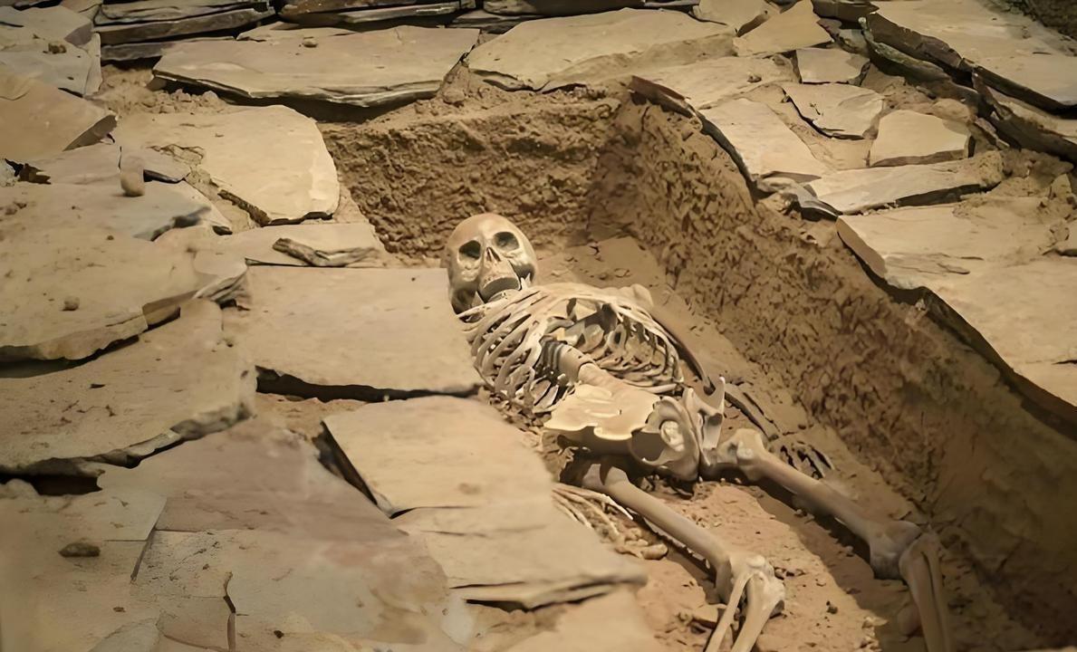 朱元璋死后，40多个妃嫔被关进地宫等死。
门一合上，漆黑一片。贡品抢光，青铜器砸