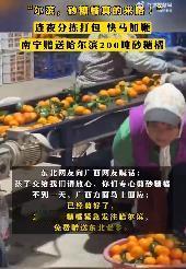 #广西第一批砂糖橘已抵达哈尔滨#近日，11位“砂糖橘”勇闯哈尔滨受到了全国网友的