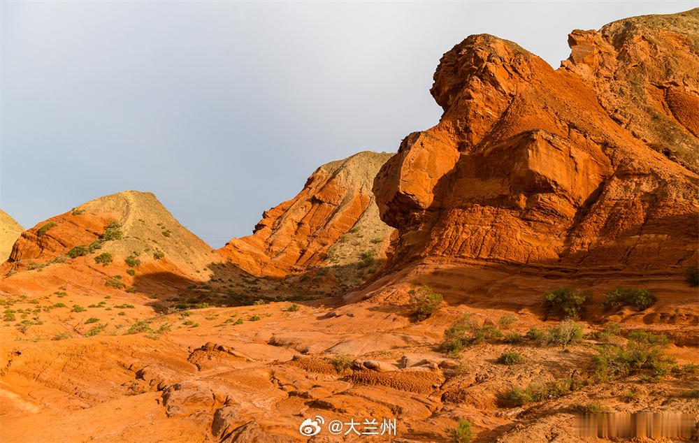 甘肃景泰人与自然共生美景【景泰：绿意盈盈映丹霞 曲流潺潺绕红沟】暑气蒸腾的夏日，