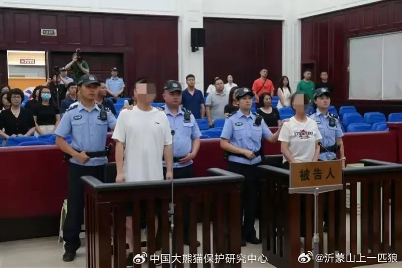 【白某红、徐某夫妇，已被判刑】人民法院案例库6月30日发布我国首例涉大熊猫网络谣