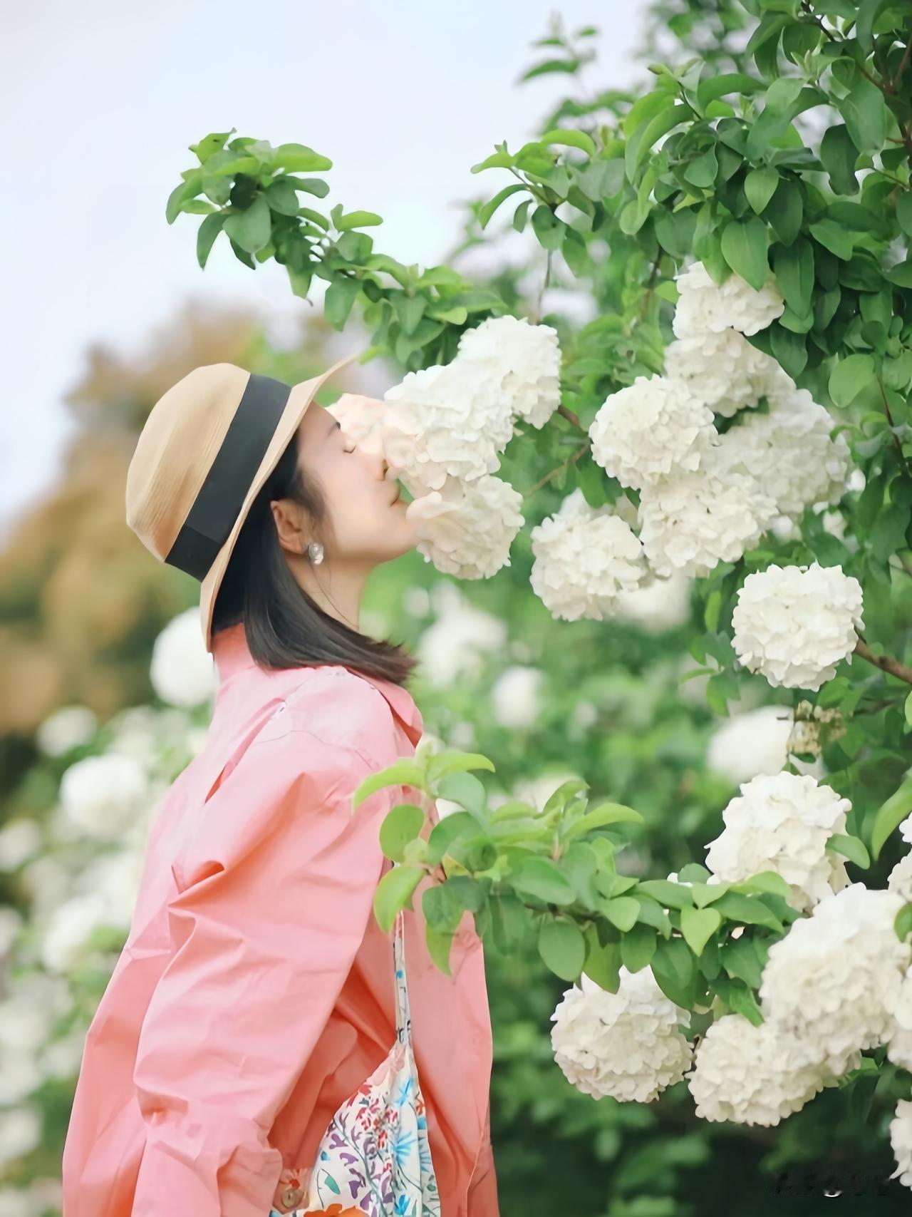 忙可以，累也行，
但不可以不开心……
出门走一走，把快乐补回来。
借一阵人间富贵