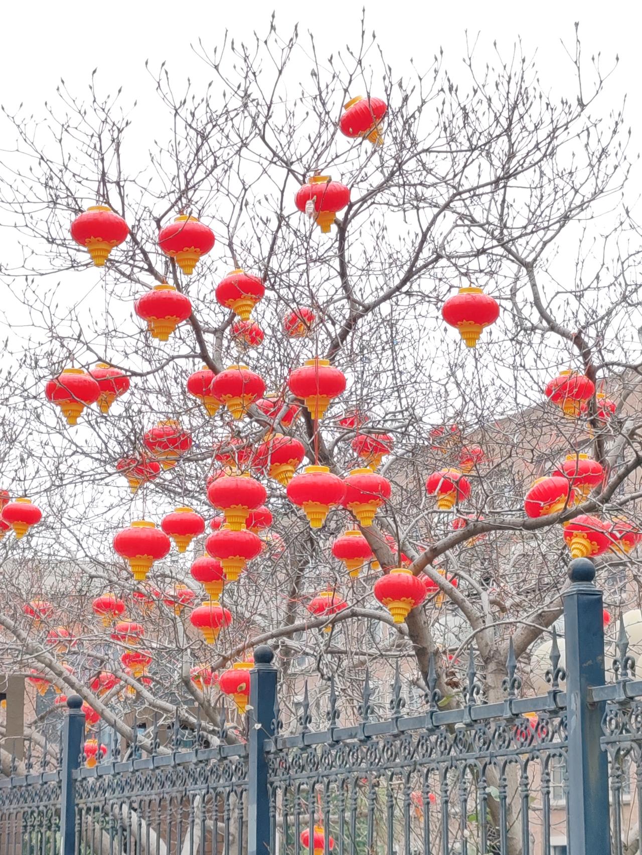 《好诗》文采飞扬锦句生，疑是文曲下凡星。肚中文墨佳如此，李白杜甫汗颜生。