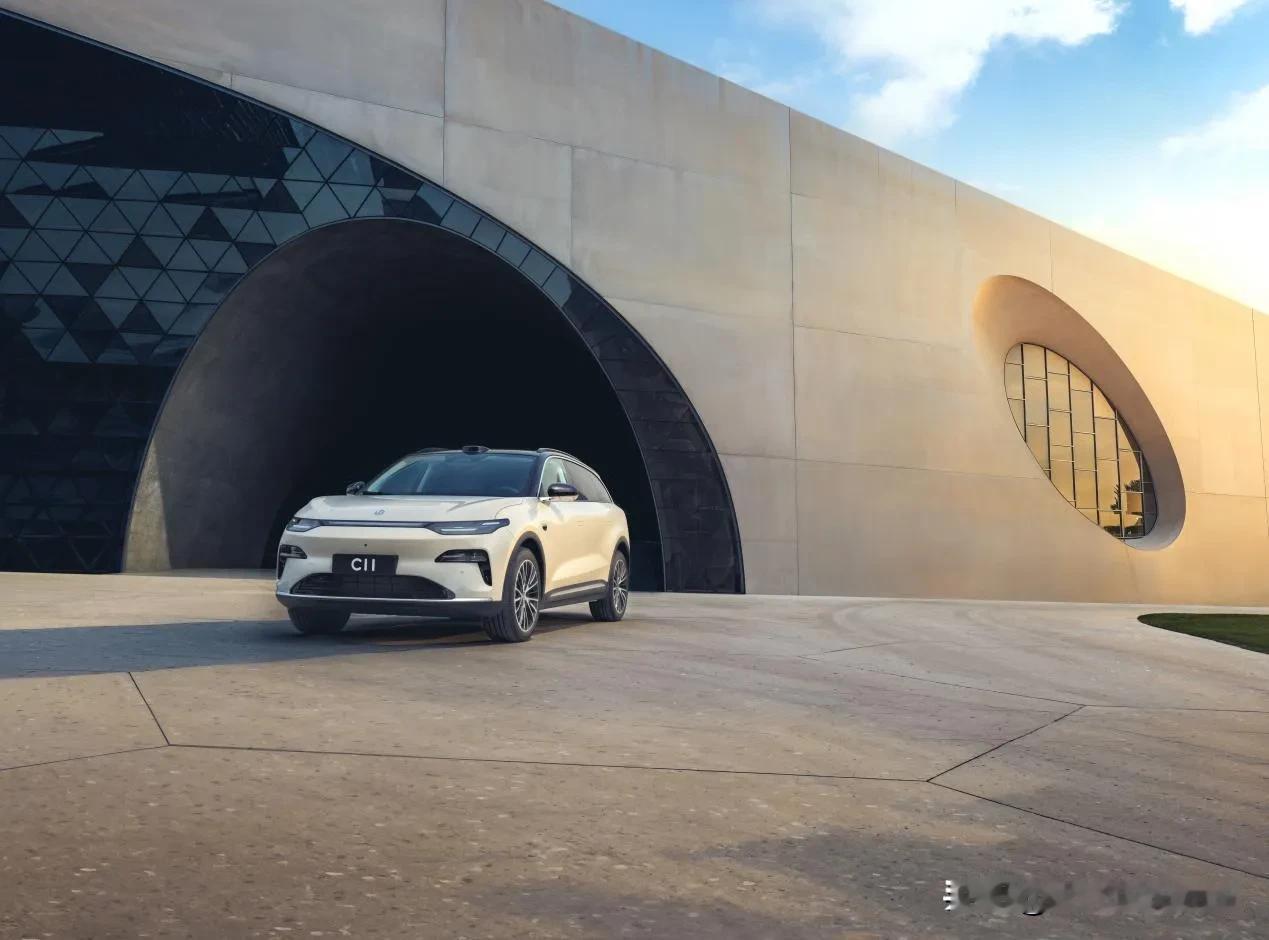 冬季出游开零跑C11，冰雪天照样稳
 
这两天全国多地开始下雪，这让很多计划在近