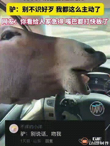 河南一名男子去动物园，遇到了一只非常热情的驴，只见这只驴不断地将头伸向男子，甚至