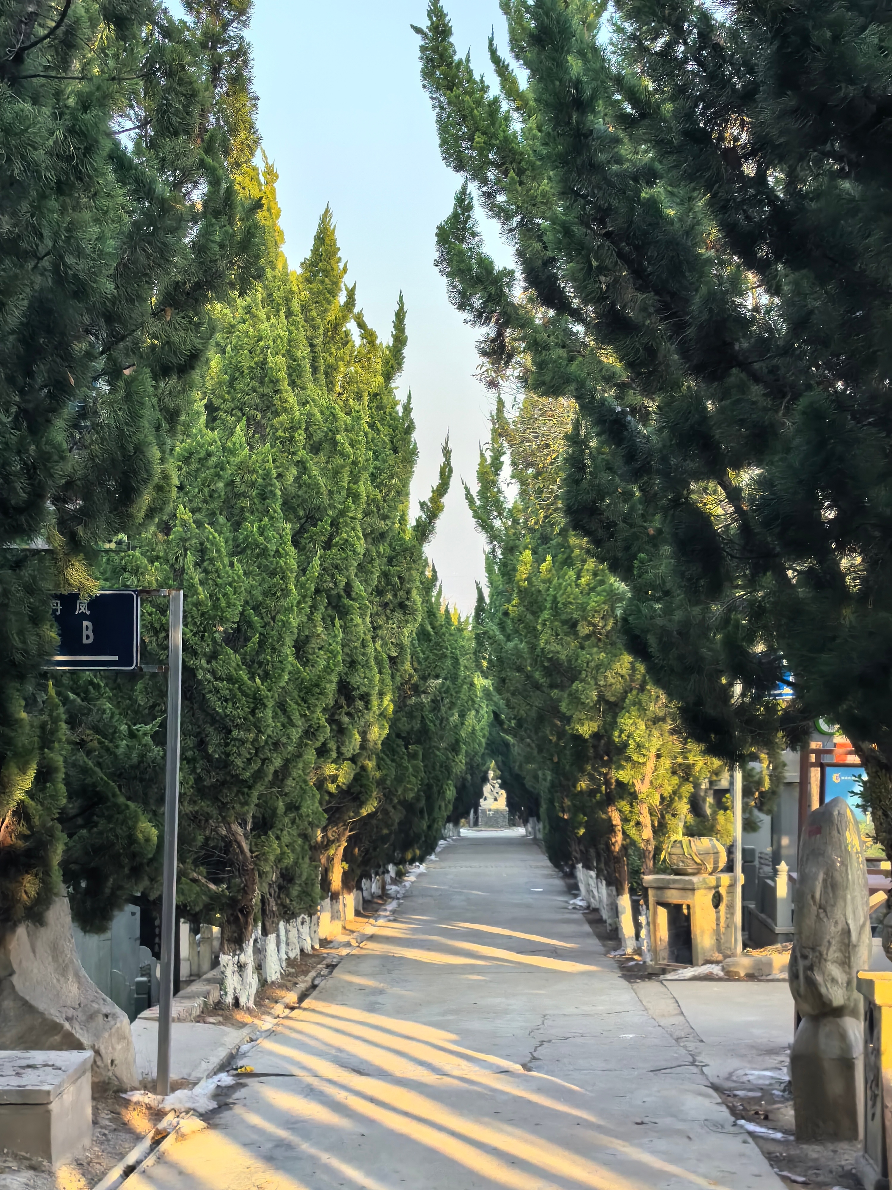 参加完活动，陪老人吃顿饭，又赶去山上看看娟子，这几年疫情，好几年没来看娟子，昔日