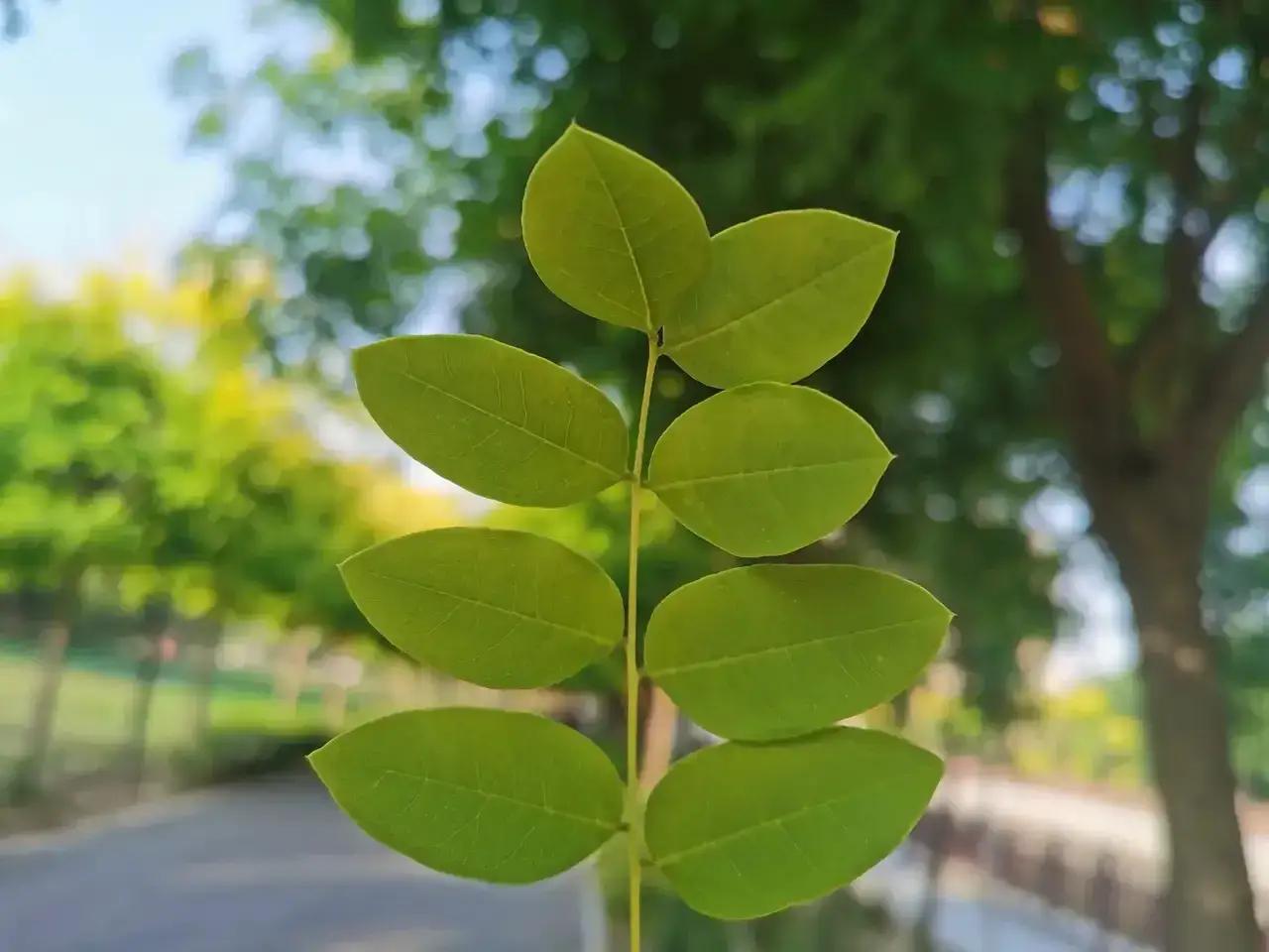 读到一位医生的肺腑之言：
“只要你快乐，
只要你知足，
只要你不拘小节，
只要你