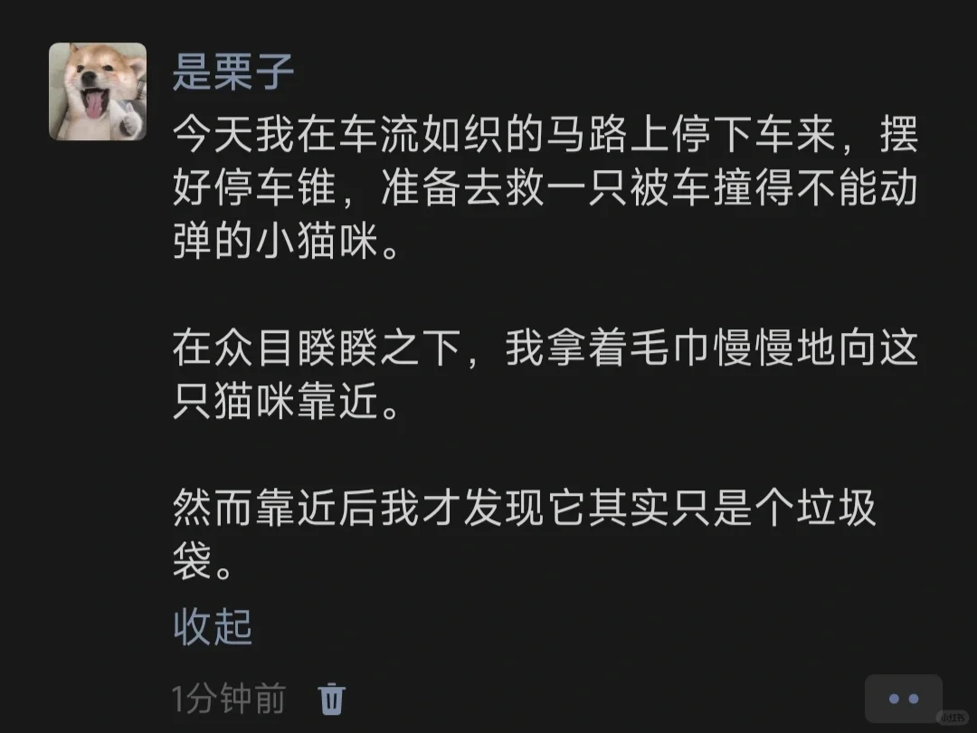 今天我在车流如织的马路上停下车来