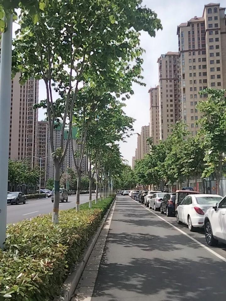 春日生活打卡季