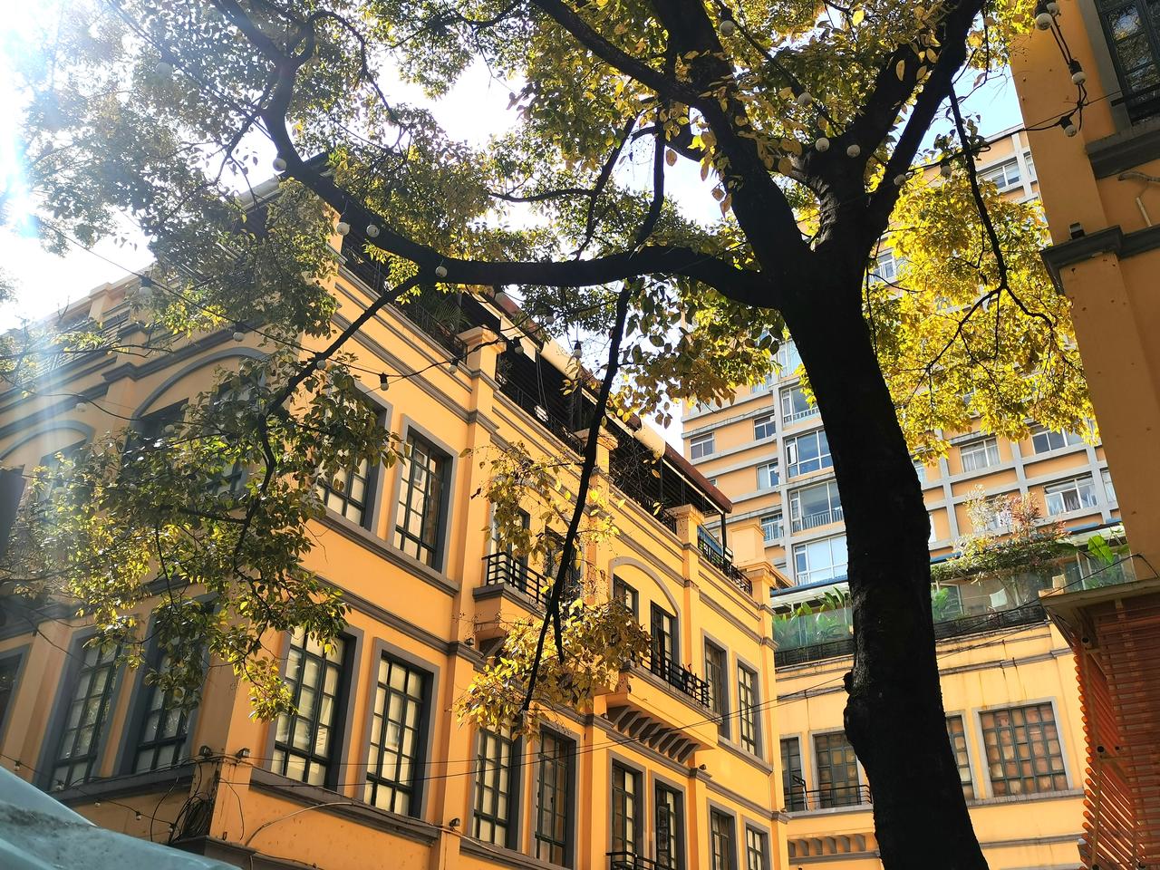 如果要选一种颜色来代表昆明，那一定是明黄色。
昆明低纬度高海拔的独特地理属性，让