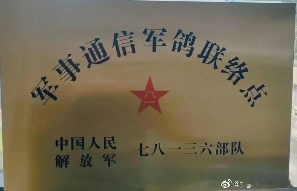 虽然根本不可能有敌人能让我们完全失去现代通信方式，但保留信鸽部队是我们对最坏情况