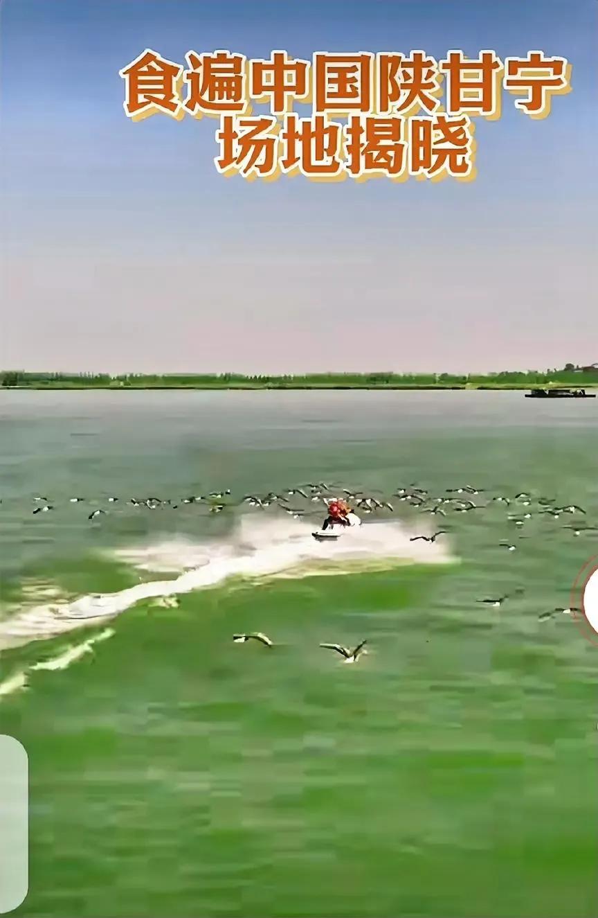 直面竞争，听说董宇辉九月回家做专场，东方选先来个《陕甘宁专场》，把目标客户及好卖